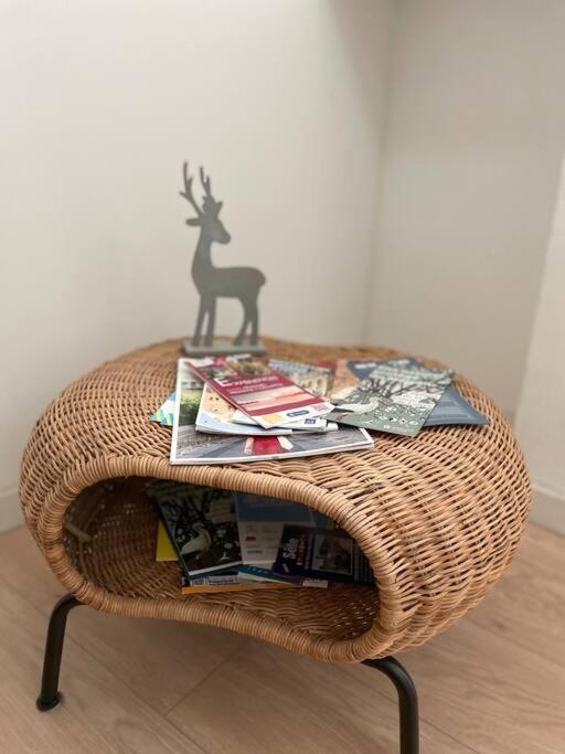 Appartement Cosy Au Coeur De L'Ecusson 몽펠리에 외부 사진